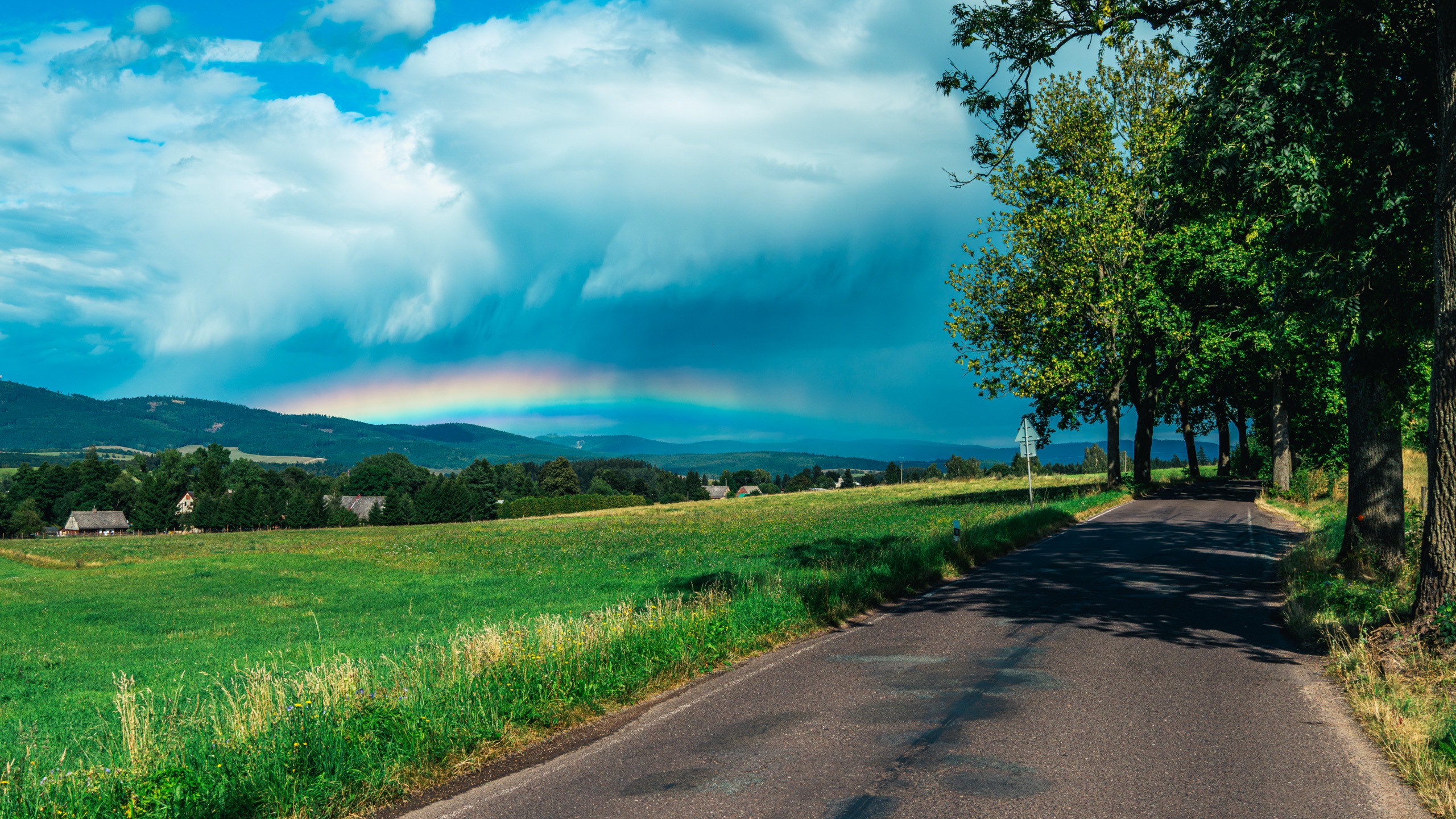 Sigma 28-105mm mounted on the camera when taking photos outdoors